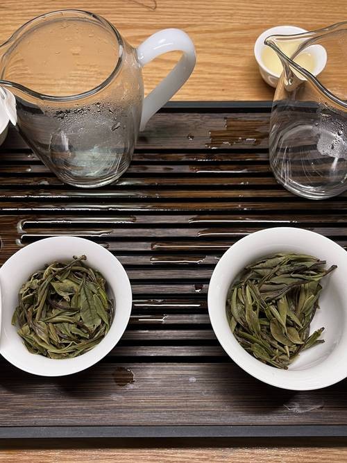 探究不同水质对茶汤颜色的影响