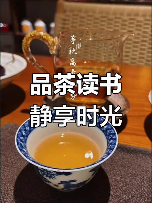 茶香书韵，静谧时光中的文化共鸣与交融之旅。