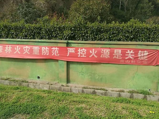 泰山实施最严禁石令，共筑绿色未来